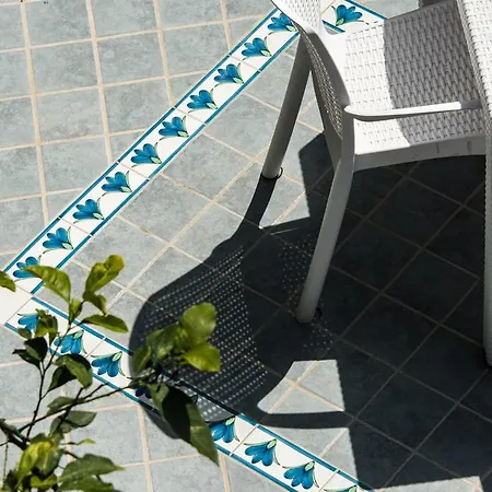 V402 - נראנו