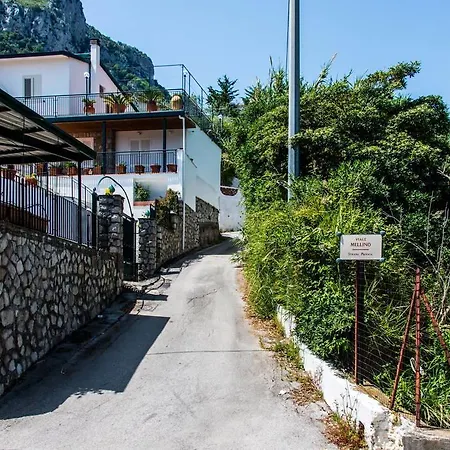 V402 - וילה נראנו